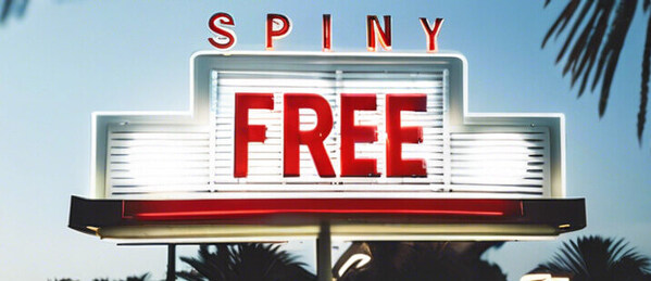 Nejlepší free spiny dnes – čtvrtek 6. června